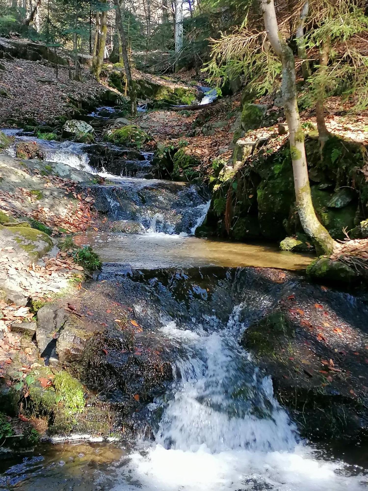 La Fortance Paradis Naturel - Proche De La Ville Planfoy Exterior photo