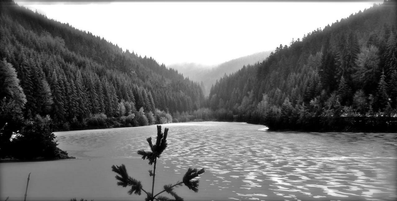 La Fortance Paradis Naturel - Proche De La Ville Planfoy Exterior photo